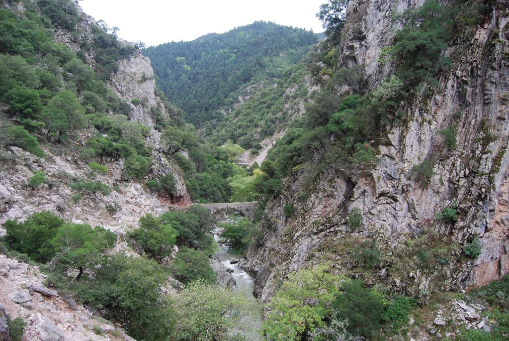 Dryades Guesthouse Ano Khora Bagian luar foto