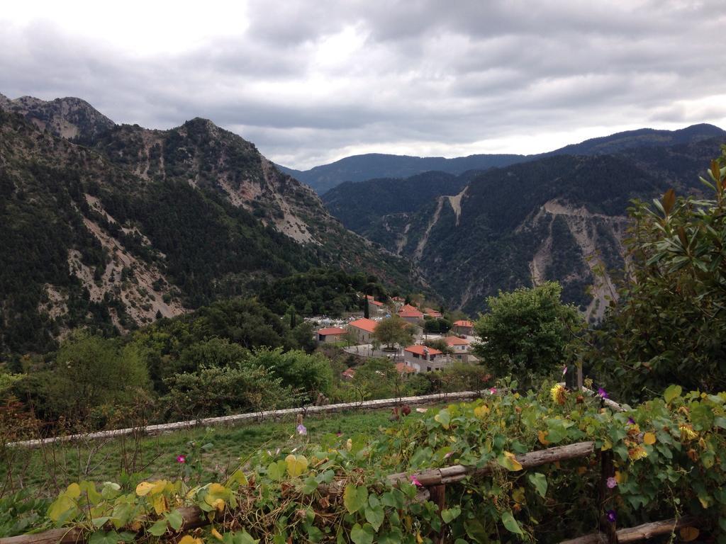Dryades Guesthouse Ano Khora Bagian luar foto